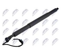 Fits NTY AE-BM-123 TAILGATE SHOCK ⭐UK Stock⭐