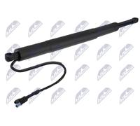 ✅Fits NTY AE-BM-146 TAILGATE SHOCK ABSORBER L/R ⭐UK Seller⭐