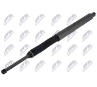 NTY AE-BM-169 Tailgate strut