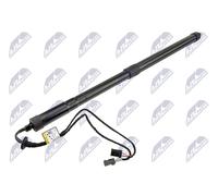 Fits NTY AE-CT-062 tailgate shock absorber