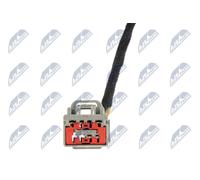 ✅Fits NTY AE-FR-069 TAILGATE GAS SPRING ⭐UK Seller⭐