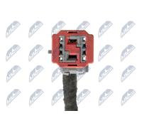 2x ✅Fits NTY AE-FR-073 TAILGATE GAS SPRING ⭐UK Seller⭐