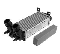 Fits NTY CNG-FR-045 INTERCOOLER