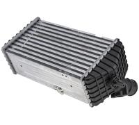 Fits NTY CNG-HY-000 INTERCOOLER