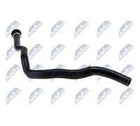 NTY CPP-BM-029 Radiator hose