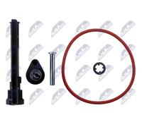 Fits NTY EDI-BM-006 DISA Valve Repair Kit