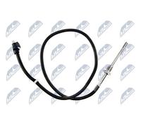 NTY EGT-CH-000 Sensor, exhaust gas temperature