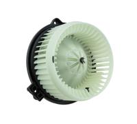 NTY EWN-HD-005 Interior Blower