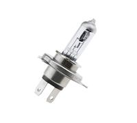 Fits NTY EZ-H4ZSW HALOGEN BULB H4 SUPER WHITE