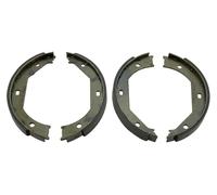 Fits NTY HST-BM-007 ALPHA BRAKES PARKING BRAKE SHOES