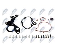 Fits NTY PVP-VW-000A VACUUM PUMP REPAIR KIT