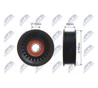 NTY RNK-CH-033 Tensioner Pulley, V-belt