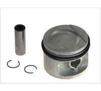 ✅Fits NURAL 87-109400-50 Piston 87-109400-50 Piston 81 (STD) fits: A ⭐UK Seller⭐