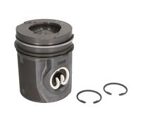 Fits NURAL 87-141900-00 Piston 87-141900-00 Piston (diameter 107mm, S ⭐UK Stock⭐