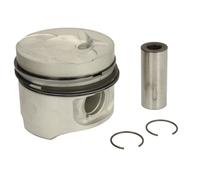 2x ✅Fits NURAL 87-743100-10 Piston 87-743100-10 Piston 89 (STD) fits ⭐UK Seller⭐