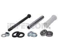 Impergom Wishbone Repair Kit 40025/1 - Rear Axle Control Arm for FIAT