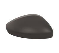 PRASCO PG3267413 Wing mirror cover
