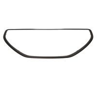 PRASCO PG3262216 Trim / Protective Strip, radiator grille