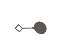 PRASCO PG3261236 Tow hook cover