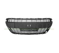 BLIC 6502-07-5509992PP Radiator Grille