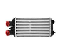 Fits Peugeot 208 Intercooler 2023- 9824742280