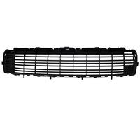 BLIC 6502-07-5545996P Bumper grill