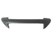 BLIC 6509-01-5519921P Bumper moulding