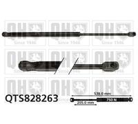 QUINTON HAZELL QTS828263 Tailgate strut
