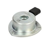 Fits PIERBURG 7.06117.21.0 Central Magnet, camshaft adjustment 7.06117.21.0 Cam
