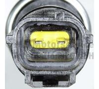 Control Valve, camshaft adjustment PIERBURG 7.06117.73.0 for F-150 4.6 2003-2007