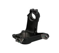 Fits REINHOCH RH08-2010 Steering Knuckle, wheel suspension RH08-2010 ⭐UK Stock⭐