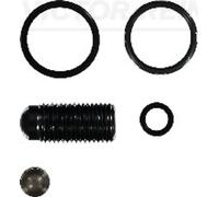 Fits REINZ USZCZELKI 15-42119-01 REPAIR KIT, PUMP-NOZZLE UNIT