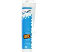 Fits REINZ 70-24575-20 blue silicone 300ml 300ml. -50 to 300C+