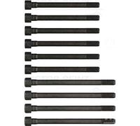 REINZ 14-55042-01 Bolt Kit, cylinder head