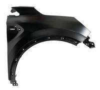 Fits Renault Captur Front Wing (With Wheel Arch Moulding Holes) Right Hand 2020-