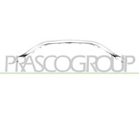 PRASCO RN7042305 Radiator Grille