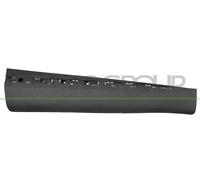 Fits Renault Captur Front Door Moulding With Moulding Holes Right Hand 2020>