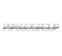 PRASCO RN3321413 Door molding