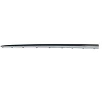 PRASCO RN7501414 Door molding