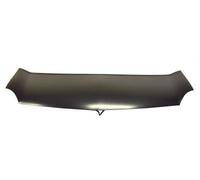RENAULT KANGOO BE BOP 2009- MPV Renault Kangoo 08-13 Bonnet RN9183100
