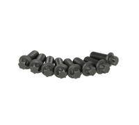 Fits SACHS 1874 000 030 Screw Set, flywheel 1874 000 030 Flywheel screw set (M1