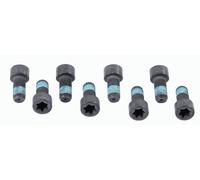 Fits SACHS 1874 000 032 SCREW SET, FLYWHEEL