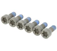 SACHS 1874 000 041 Screw Set, flywheel