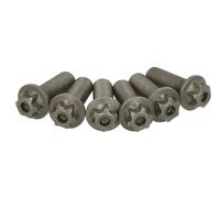 Fits SACHS 1874 000 045 Screw Set, flywheel 1874 000 045 Flywheel screw set (M1