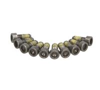 SACHS 1874 000 051 Screw Set, flywheel