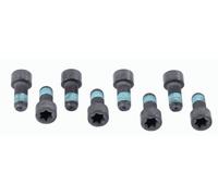 SACHS 1874 000 032 Screw Set, flywheel