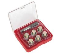 Fits SEALEY SEA VS615 Lubricant system handling tools DE stock