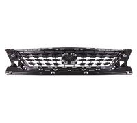 PRASCO ST4282001 Radiator Grille