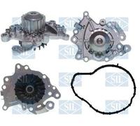 Saleri SIL PA1630 Water pump