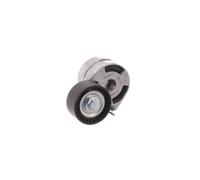 SKF VKM 33061 Tensioner pulley